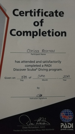 Proud Peachy - diving certificate